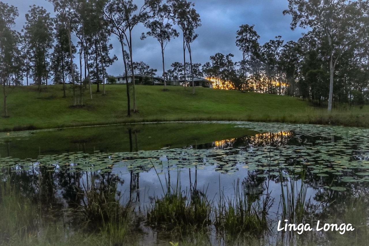 Linga Longa Spiritual Retreat Lejlighed Curra Eksteriør billede